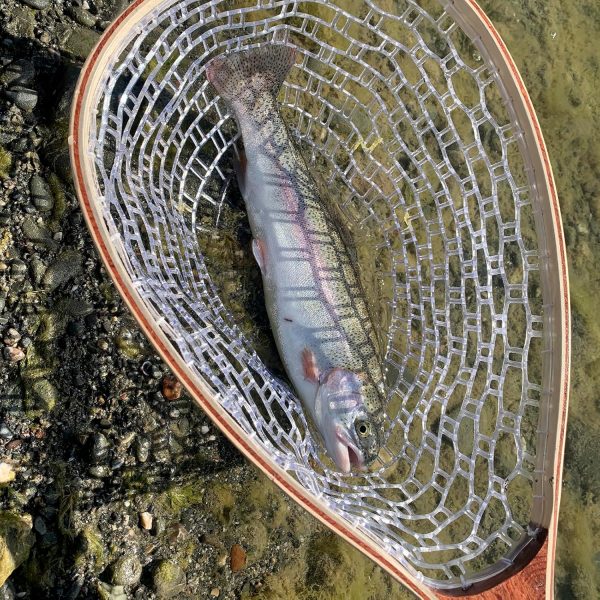 Fly Fishing Net, Trout Net, Wooden Frame Fly Fishing Landing Net with Soft Rubber Mesh for Catch and Release, Lightweight Fish Net for Trout Bass, Fly Fishing Gear for Stream Fishing - Image 6