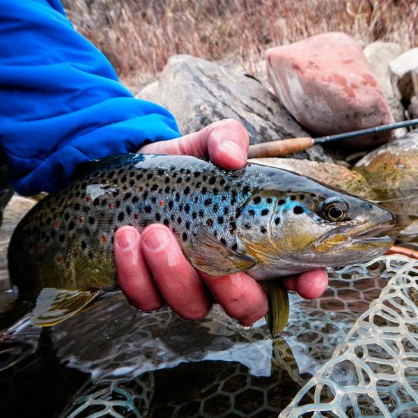 Fly Fishing Net, Trout Net, Wooden Frame Fly Fishing Landing Net with Soft Rubber Mesh for Catch and Release, Lightweight Fish Net for Trout Bass, Fly Fishing Gear for Stream Fishing - Image 7